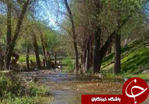 برای مشاهده جذاب&zwnj;ترین اخبار استان&zwnj;ها کلیک کنید