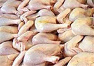 معدوم سازی ۴۱۱ کیلوگرم گوشت فاسد درمیناب