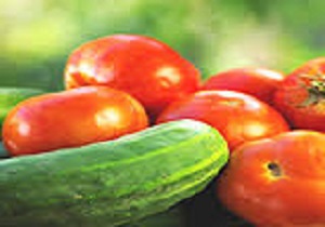 احداث یکی از بزرگترین مجتمع های گلخانه ای کشور در اسلام آباد غرب