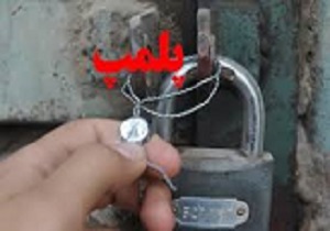 یک واحد عرضه فرآورده های خام دامی در شهرستان البرز پلمپ شد