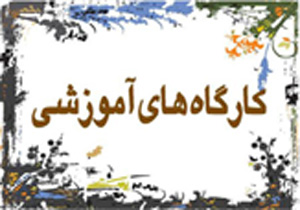 برگزاری کارگاه آموزشی مالاریا در قشم