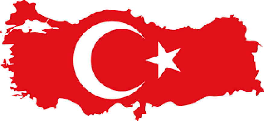 اردوغان و سیاست نوعثمانی&zwnj;گری که در پیش گرفته است.