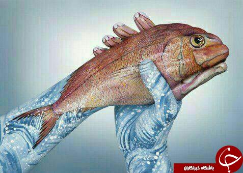 آلبومی از خلاقیت نقاشی روی دست انسان
