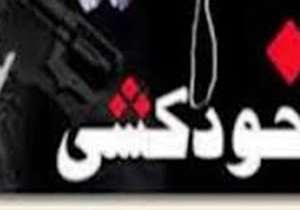 مواد غذایی سیاسی کدامند؟