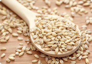 افزایش قیمت خرید تضمینی محصول جو