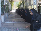 گلباران قبور شهدای شهرستان محلات