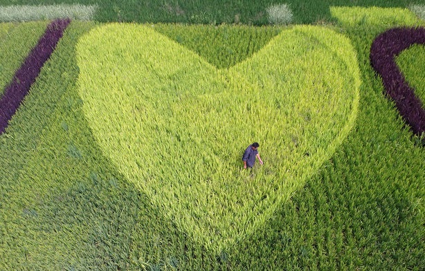 چین در قالب تصویر + عکس