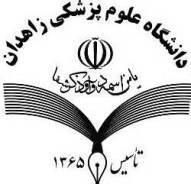 سامانه یادگیری الکترونیک دانشگاه علوم پزشکی زاهدان راه‌اندازی می‌شود