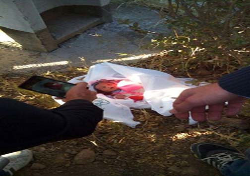 عکس: رها کردن نوزاد دو روزه در میبد!