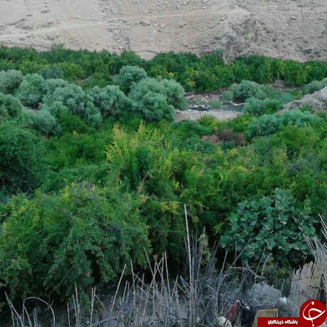 مرگ تدریجی یک روستا + تصاویر