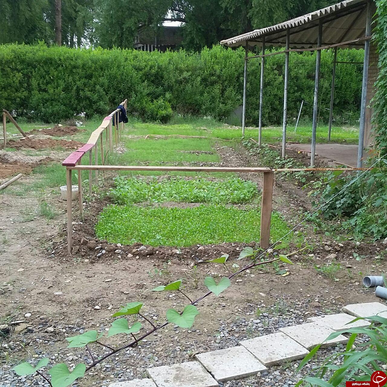 تزئین باغچه با مواد دور ریختنی + تصاویر