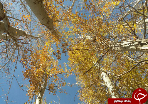 رد پای پاییز در زاینده رود + تصاویر