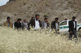 مناطق عشایری ریگان با احیای کشاورزی رونق می گیرند