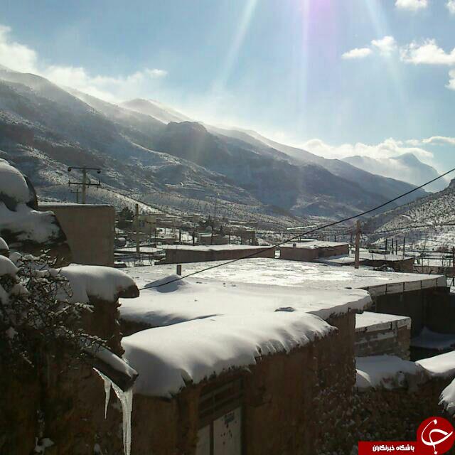 لایزنگان در پاییز