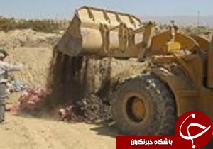 امحاء 150 کیلوگرم مواد خام دامی غیر بهداشتی
