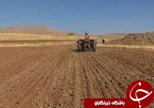 نظارت بر کاشت محصولات پاییزه در چهارمحال و بختیاری