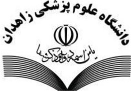 راه اندازی سامانه GIS در دانشگاه علوم پزشکی زاهدان