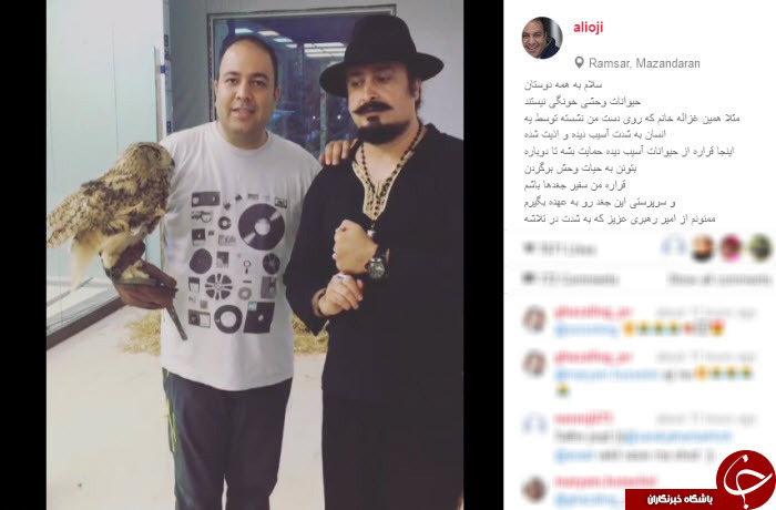علی اوجی سفیر جغدها شد! + عکس