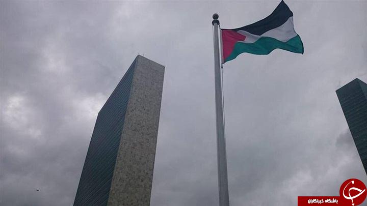 برافراشته شدن پرچم فلسطین در مقر سازمان ملل+ عکس
