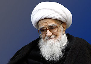 قیام حسین(ع) با پیاده‌روی اربعین تجلی بیشتری در دنیا یافته است