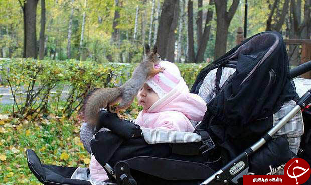 عکس از لحظه های دیدنی و کمیاب ( قسمت اول )