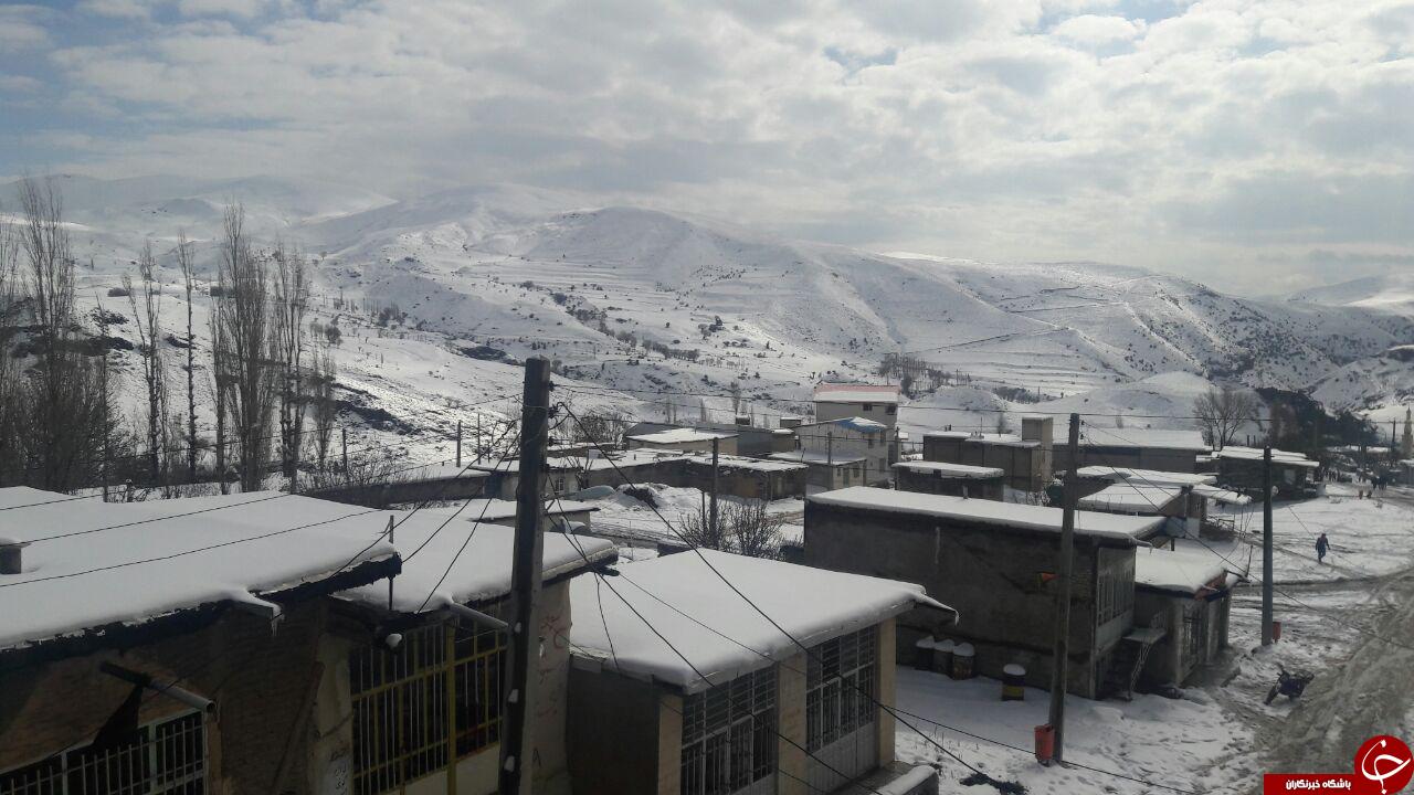 کلیشم بهشتی دیگر + تصاویر