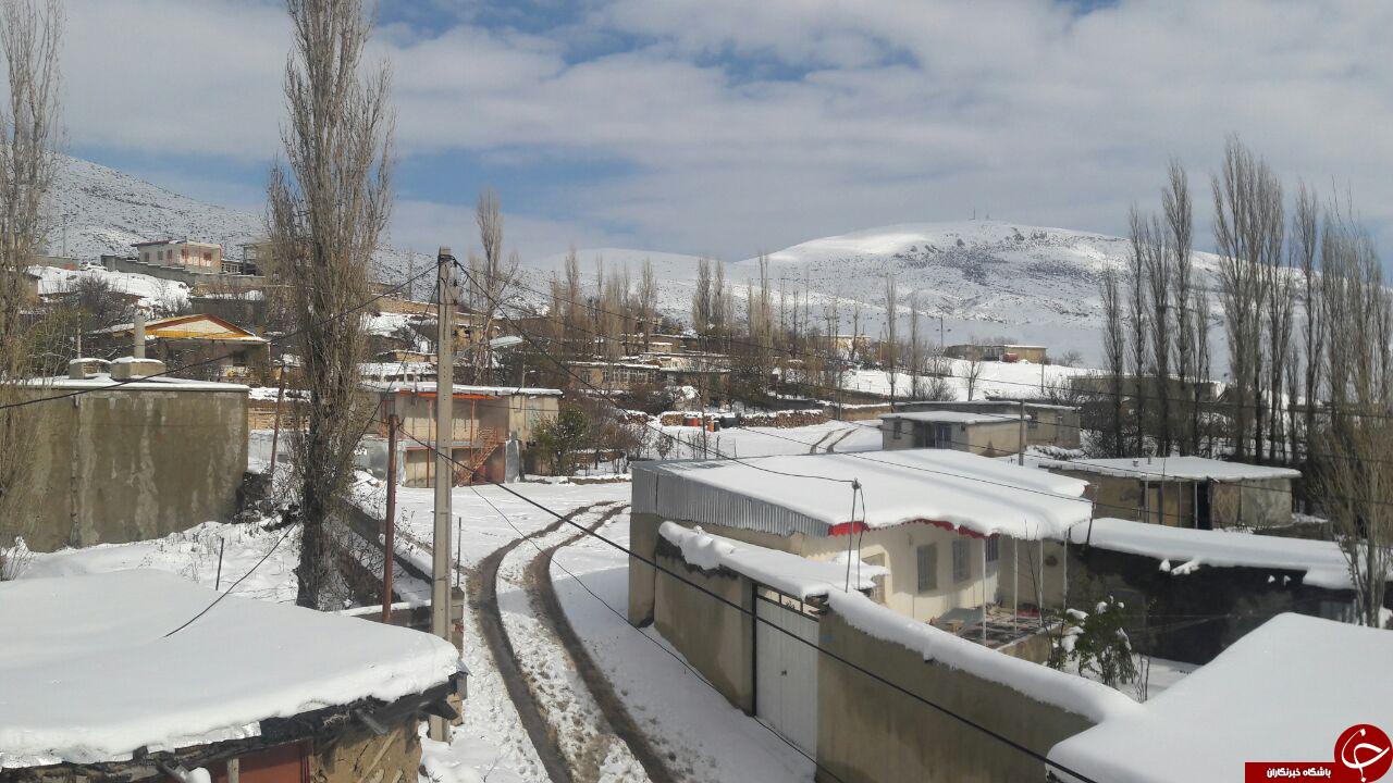 کلیشم بهشتی دیگر + تصاویر