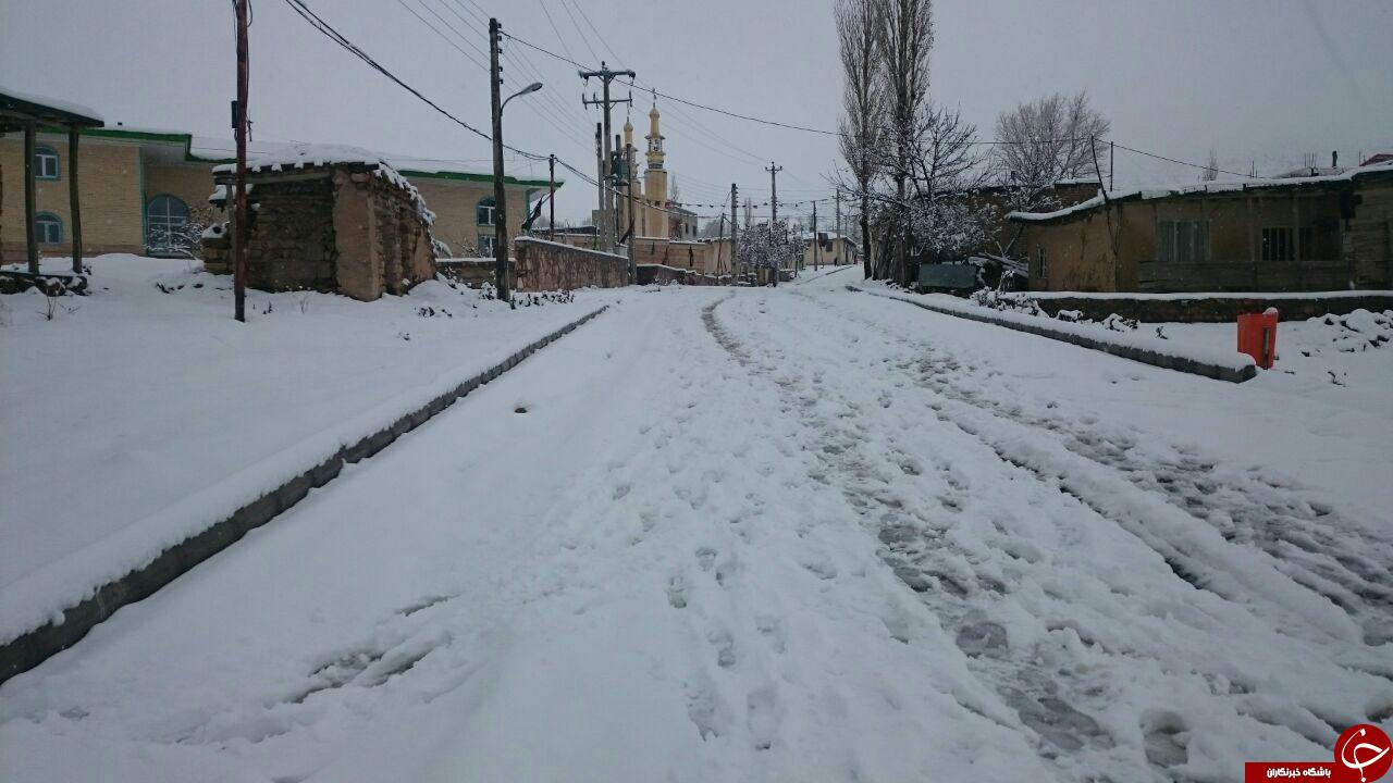 کلیشم بهشتی دیگر + تصاویر