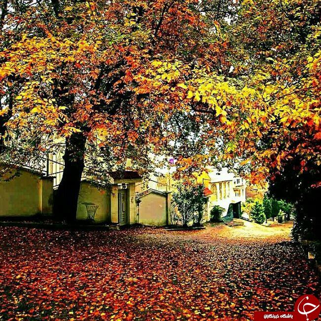 جاذبه های طبیعت درلاهیجان+عکس