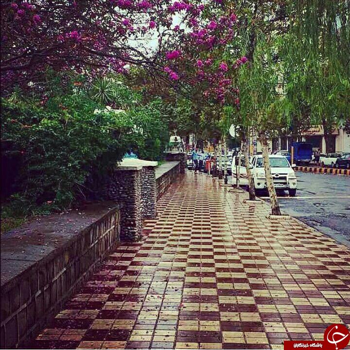 جاذبه های طبیعت درلاهیجان+عکس