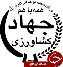 195 هکتار زمین کشاورزی استان یزد زیرکشت کلزا