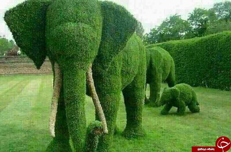 آلبومی از مجسمه های چندگانه  درختی