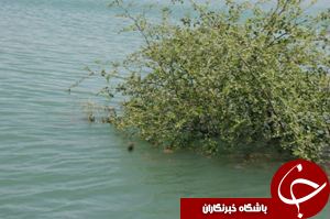 دریاچه گتوند پاکسازی شد