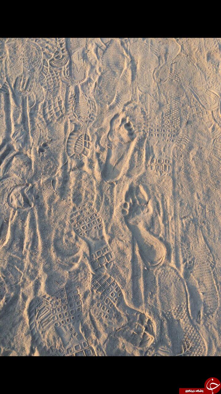 عشق بدون مرز/ از ماساژ زائران تا پذیرای با غذاهای رنگارنگ