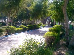 ایرانشهر رتبه نخست فضای سبز در سیستان وبلوچستان را دارد