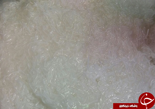 سین جیم با طعم پالوده شیرازی + تصاویر