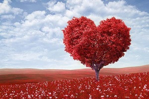 من یک آدم احساساتی ام