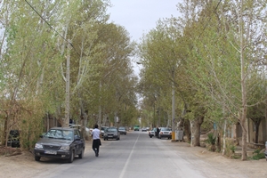 بهار بیادمانی در باغستان و مجموعه قنات بلده فردوس