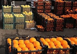 تصمیمی برای معدوم سازی میوه نداریم/میوه‌های اضافی فرآوری می‌شود