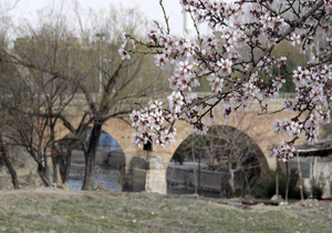 شهرستان سامان، آماده میزبانی از مسافران نوروزی