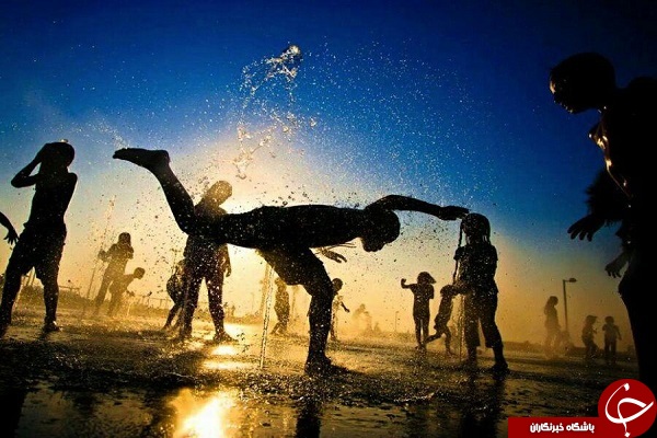 تصاویری که بوی زندگی می دهند