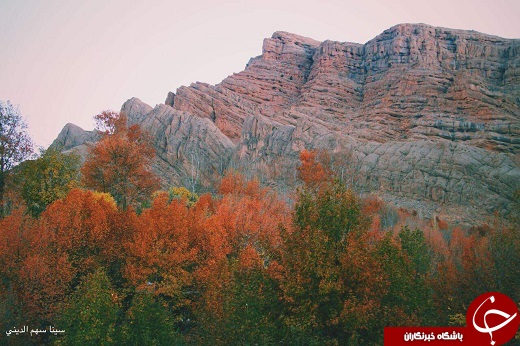 بهشتی در قلب شهر راز