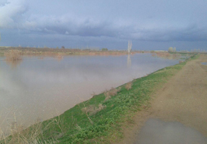 سیلاب در روستای خیرآباد + تصاویر