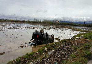 بسته