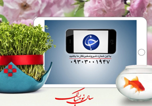 از بلعیده شدن کامیون در کوچه تا کمبود جایگاه سی ان جی در کوهدشت + فیلم