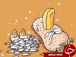 نگاه جالب کاریکاتوریست ها به 