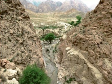معجزه سبز رنگ طبیعت، در کنار کویر داغ و تفدیده همت آباد زیرکوه +تصاویر