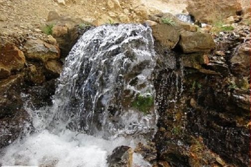 معجزه سبز رنگ طبیعت، در کنار کویر داغ و تفدیده همت آباد زیرکوه +تصاویر