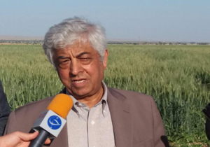 قطب کشاورزی استان ایلام زیر ذره بین وزارت جهادکشاورزی
