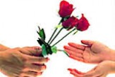 زن&zwnj;هایی که زندگی زناشویی خود را نابود می&zwnj;کنند